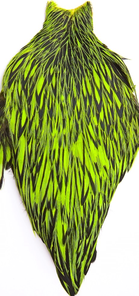 Whiting American Hen Cape Fly Tying BLW Pink